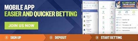 palmerbet review|palmerbet promotions.
